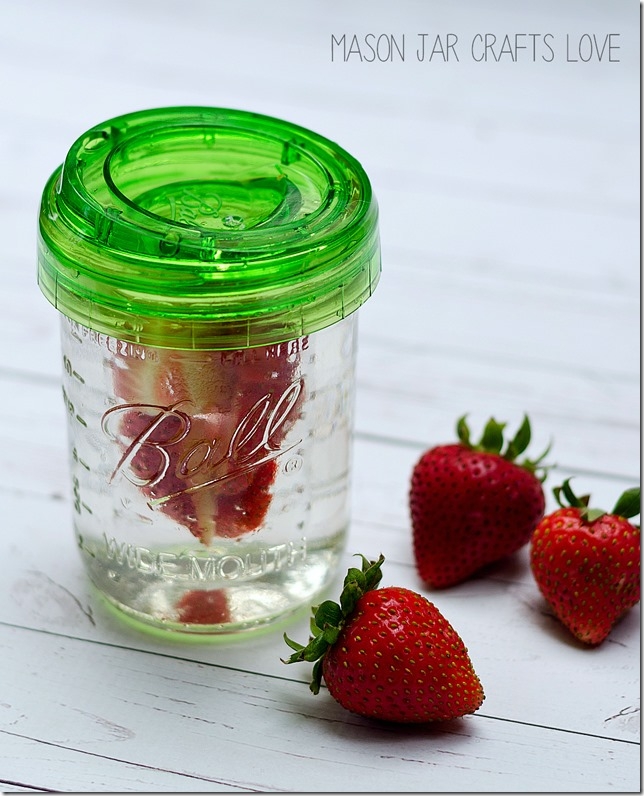 15020 - Ball, Mason Jar Infuser / ชุดที่กรองพร้อมฝาดื่มบอลล์