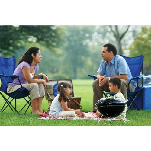 10020 - Weber, Portable Grill 14